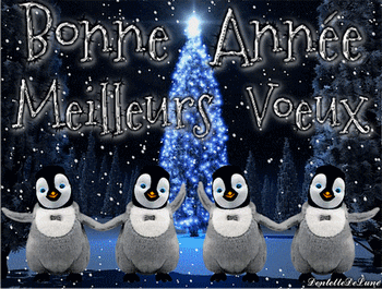 bonne année